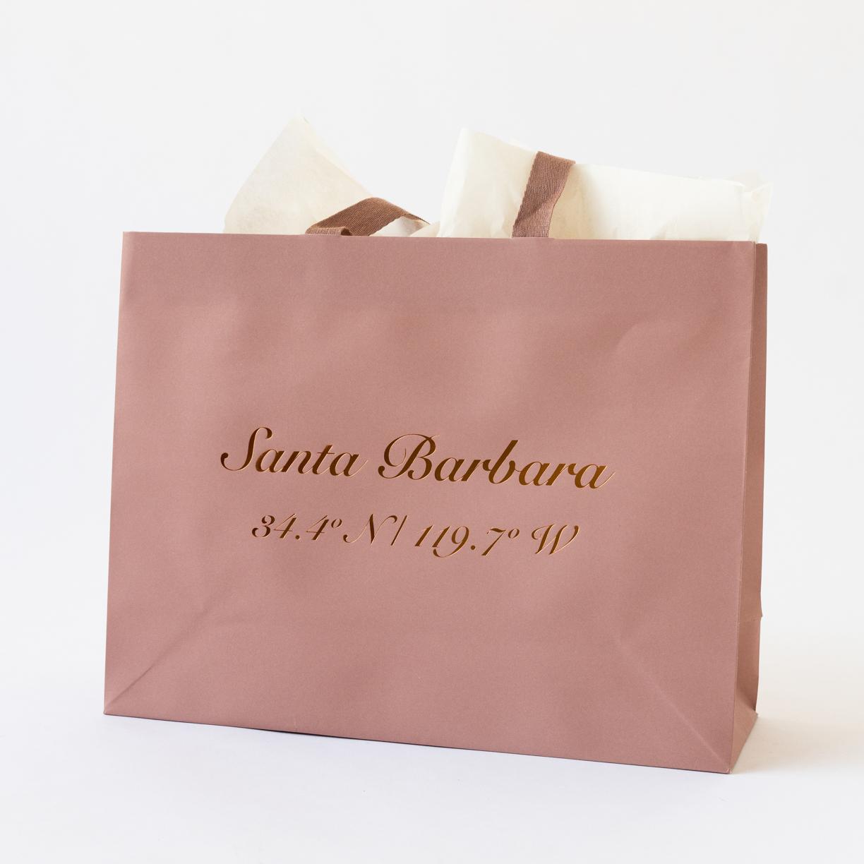 Santa Barbara Design Studio Let's Do Lunch Washable Paper Lunch Bag, Rose Gold