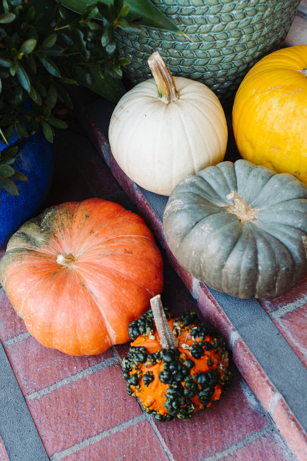 Colorful fall and autumn pumpkins on doorstep, The Santa Barbara Company 