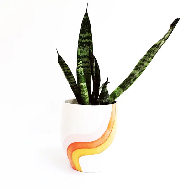 Cali Rainbow Handmade Pot