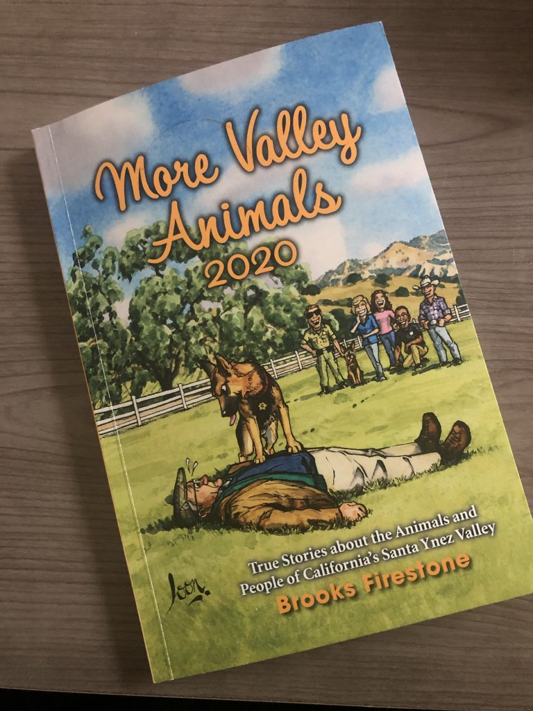 More Valley Animals 2020