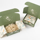 mailer gift box, open with liner