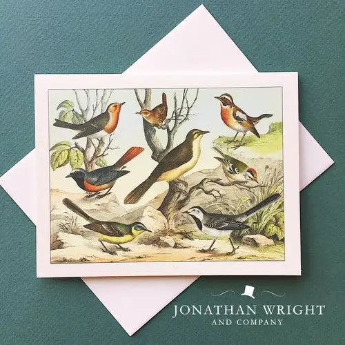 Bird Watching Note Card