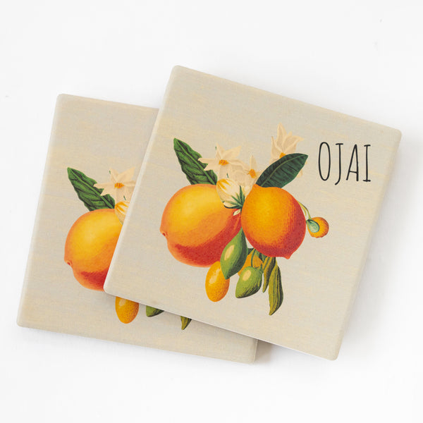 Ojai Citrus Coasters