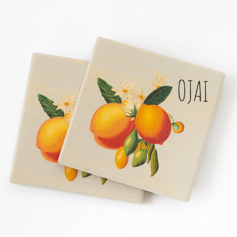 Ojai Citrus Coasters