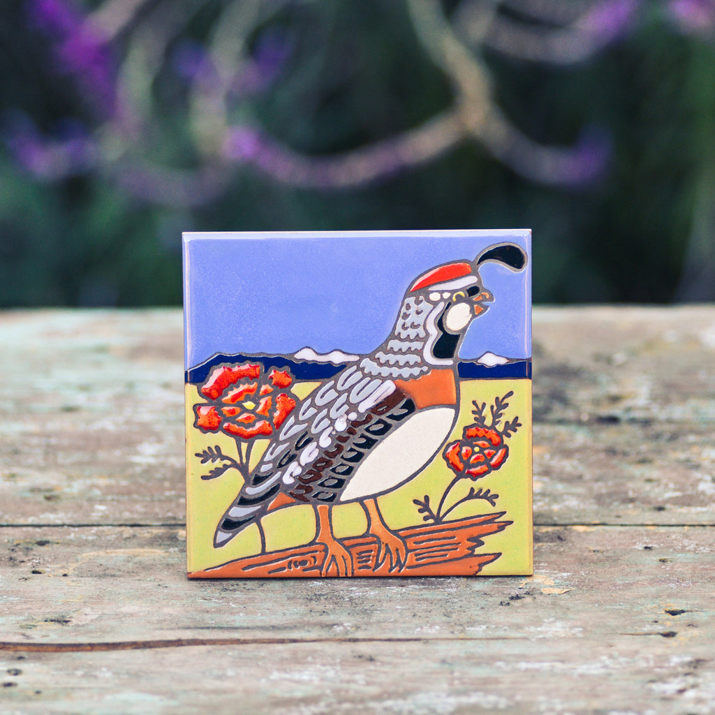 Amina Ceramic Tile Coasters